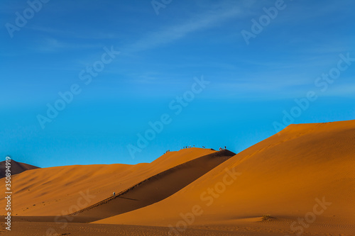  Grandiose paintings of dunes