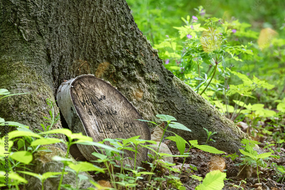 Ruhestätte auf einem Waldfriedhof Ruhestätte auf einem Waldfriedhof