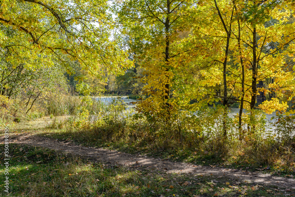 Fototapeta premium Colorful bright beautiful nature in early autumn
