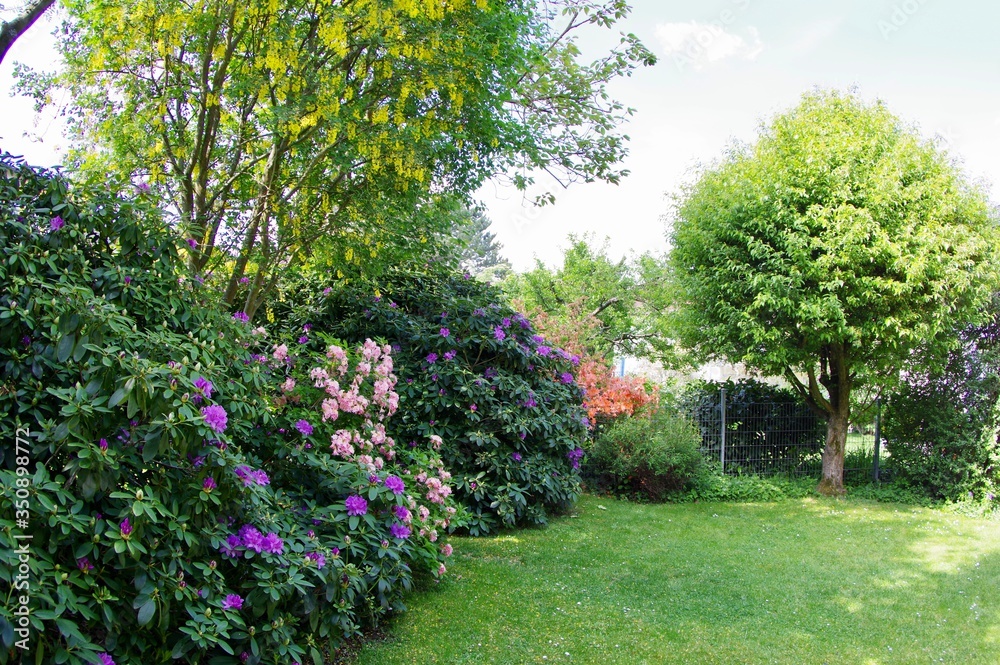 Obraz premium Garten