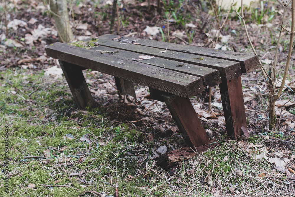 Broken curve bench in the forest of thick bars. Around the leaves and moss. Selective shallow focus at the start of the bench. Horizontal. Broken curve bench in the forest of thick bars. Around the leaves and moss. Selective shallow focus at the start of the bench. Horizontal.