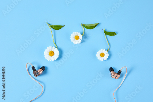 Stylish earphone and chamomile flowers in the form of notes on blue background. Springtime and music lovers concept.
