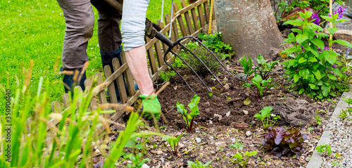 Mature woman hand taking out weeds plants from earth in garden