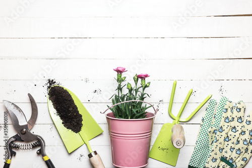 Composition with flowers and gardening tools