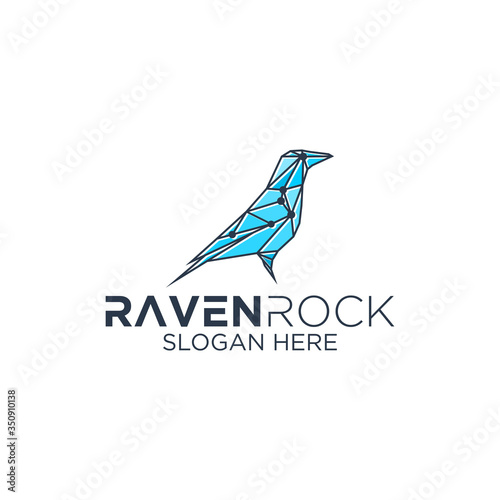 raven technology logo design