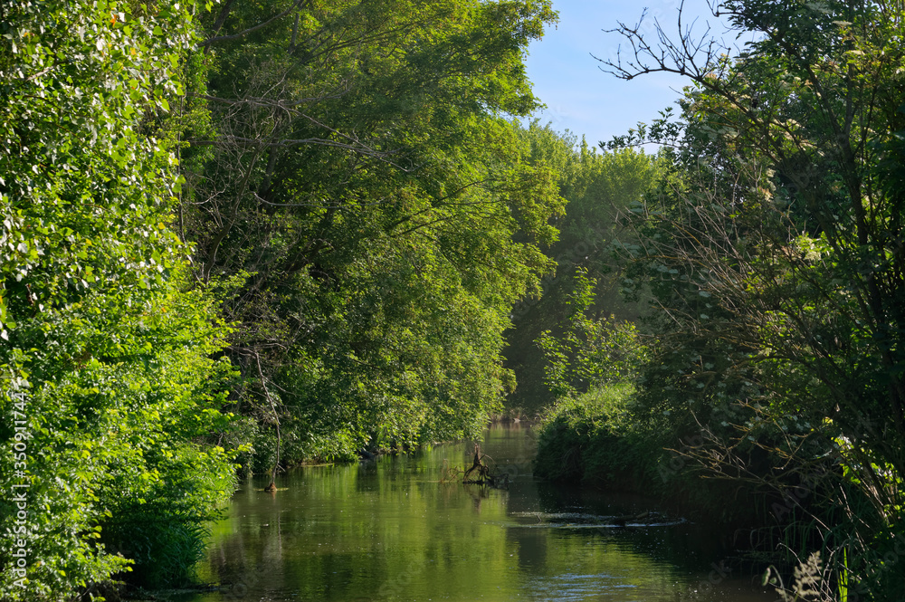 Ecole river in the French Gâtinais regional nature park Ecole river in the French Gâtinais regional nature park
