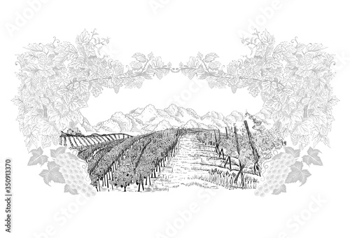Landscape of vineyard inside of decorative Frame from grapes and vines, hand drawn in sketch style. Vector illustration isolated on white