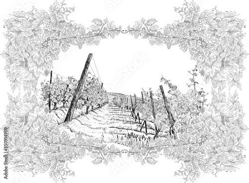 Landscape with vineyard around of the decorative frame from grapes and vines. Vector illustration hand drawn in sketch style isolated on white