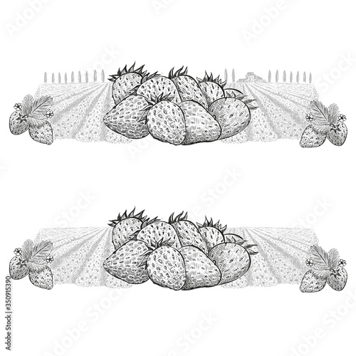 Strawberry berries in the center against the background of a field and a farm on the horizont.Vector illustration in sketch style on a white background.