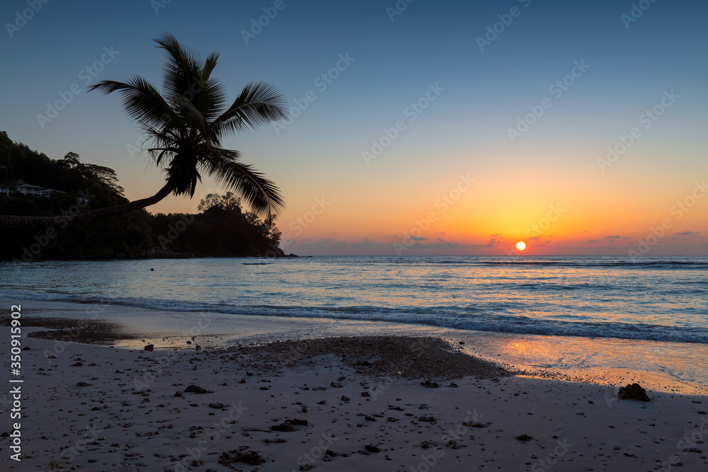 Coco palms silhouette at Paradise Sunset in tropical beach.  Summer vacation and tropical beach concept.  