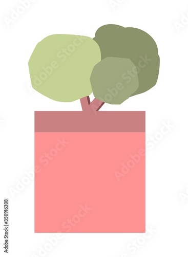 Bonsai tree for garden and terrace isolated on white background. Vector flat cartoon illustration.
