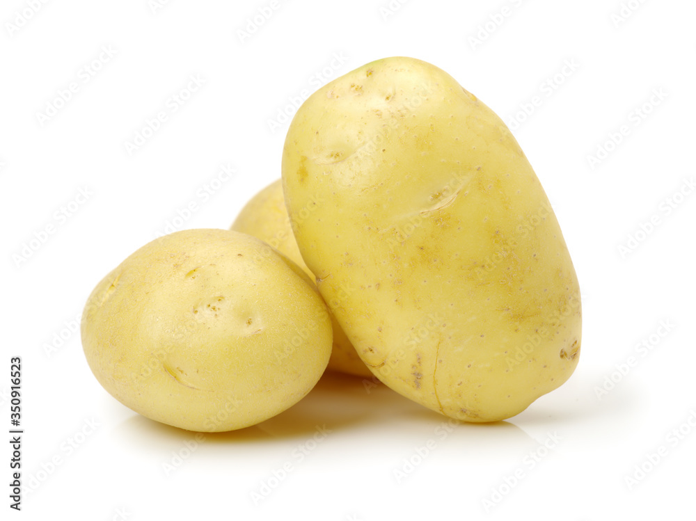 potato on a white background potato on a white background