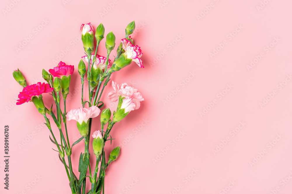 bouquet of different pink carnation flowers on light red background Top view Flat lay Holiday card 8 March, Happy Valentine's day, Mother's, Woman's, Teacher's day concept.