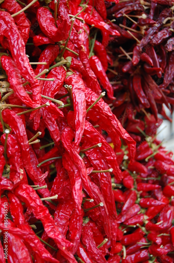 Red pepper in Italy Red pepper in Italy