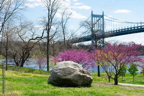 Large Stone on the Riverfront of Randalls and Wards Islands with Colorful Plants and Flowers during Spring with a view of the Triborough Bridge photo