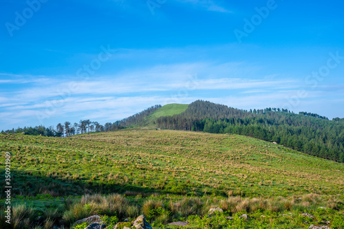 Green meadow on top of Monte Adarra in Urnieta, near San Sebastian. Gipuzkoa, Basque Country
