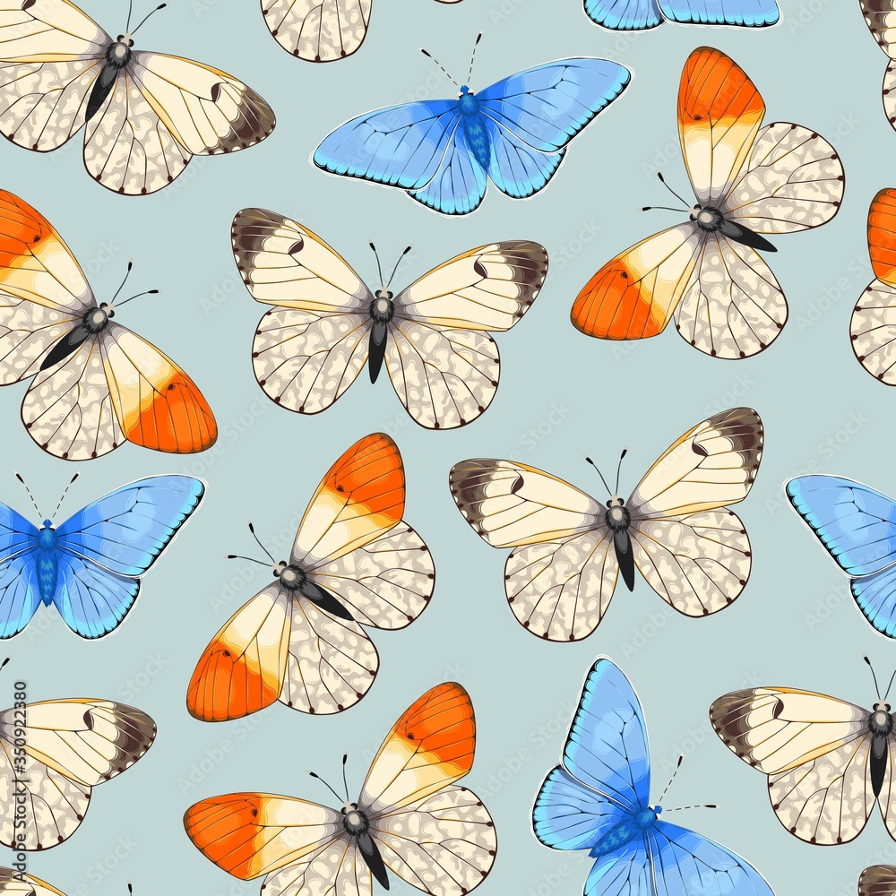Vector pattern with high detailed vivid butterfly Vector pattern with high detailed vivid butterfly
