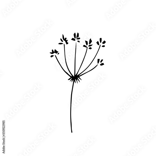 Fototapeta Naklejka Na Ścianę i Meble -   Sign hand drawn summer herb. Flower twig isolated on white background. black silhouette.Contour. Doodle outline vector illustration for wedding design,logo, greeting card.