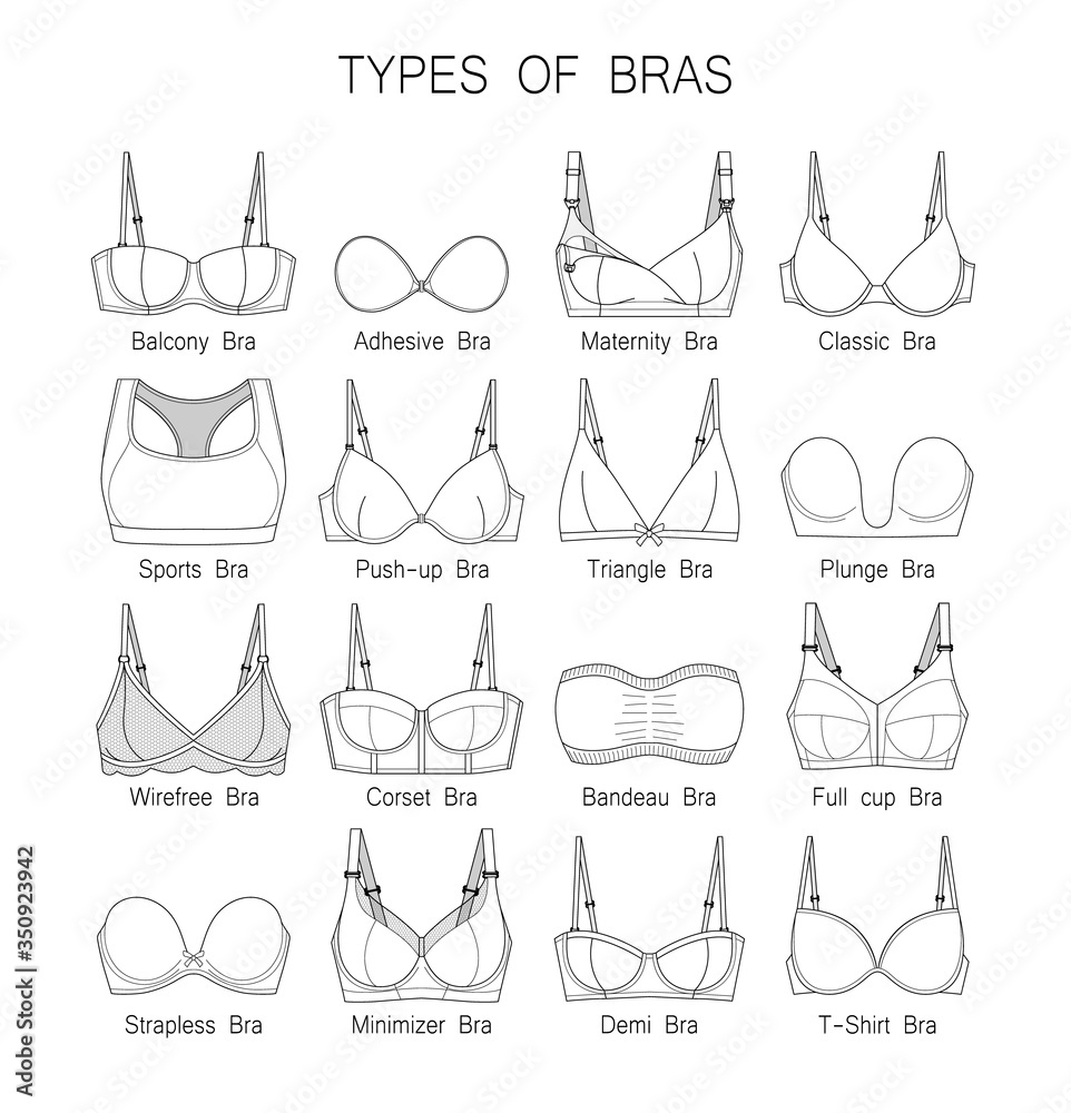 Women's underwear. Types of bras. Set of bras, black contour. Stock Vector  | Adobe Stock