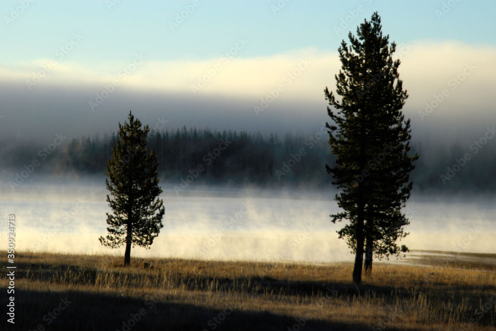 Morning fog on Medicine Lake, Modoc National Forest, Arizona Morning fog on Medicine Lake, Modoc National Forest, Arizona