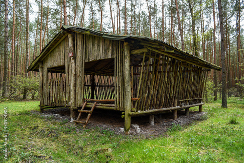 A shed in the woods. A shed in the woods. © Kozioł Kamila