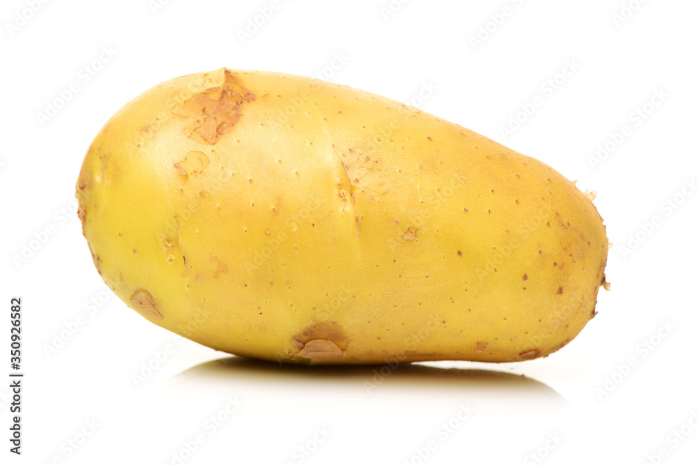 New potato isolated on white background New potato isolated on white background