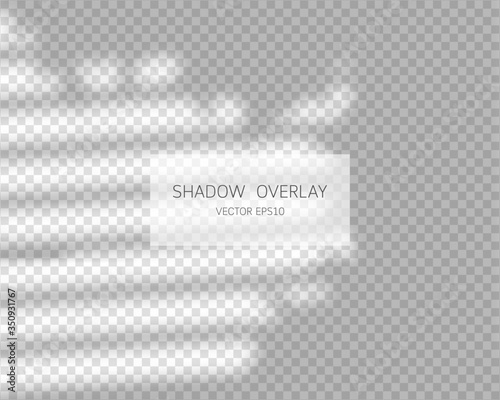 Shadow overlay effect. Natural shadows from window isolated on transparent background. Vector illustration. 
