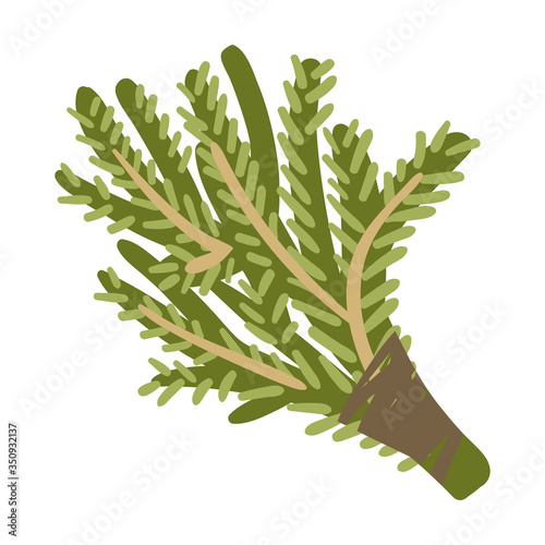 Deciduous broom for steaming in a bath. Vector illustration