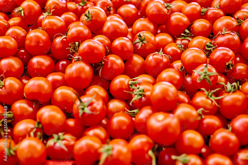 a lot of tomato on the counter. a lot of tomato on the counter.