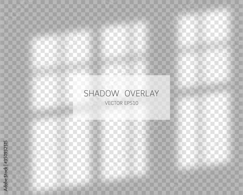 Shadow overlay effect. Natural shadows from window isolated on transparent background. Vector illustration. 
