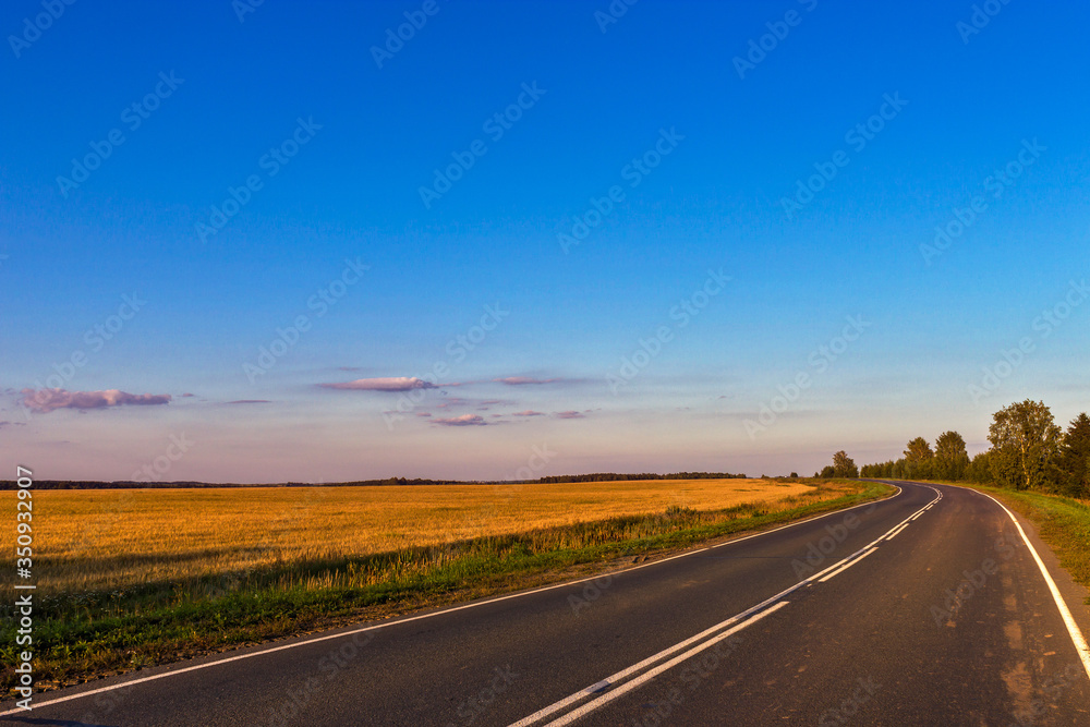 summer landscape asphalt road in the field