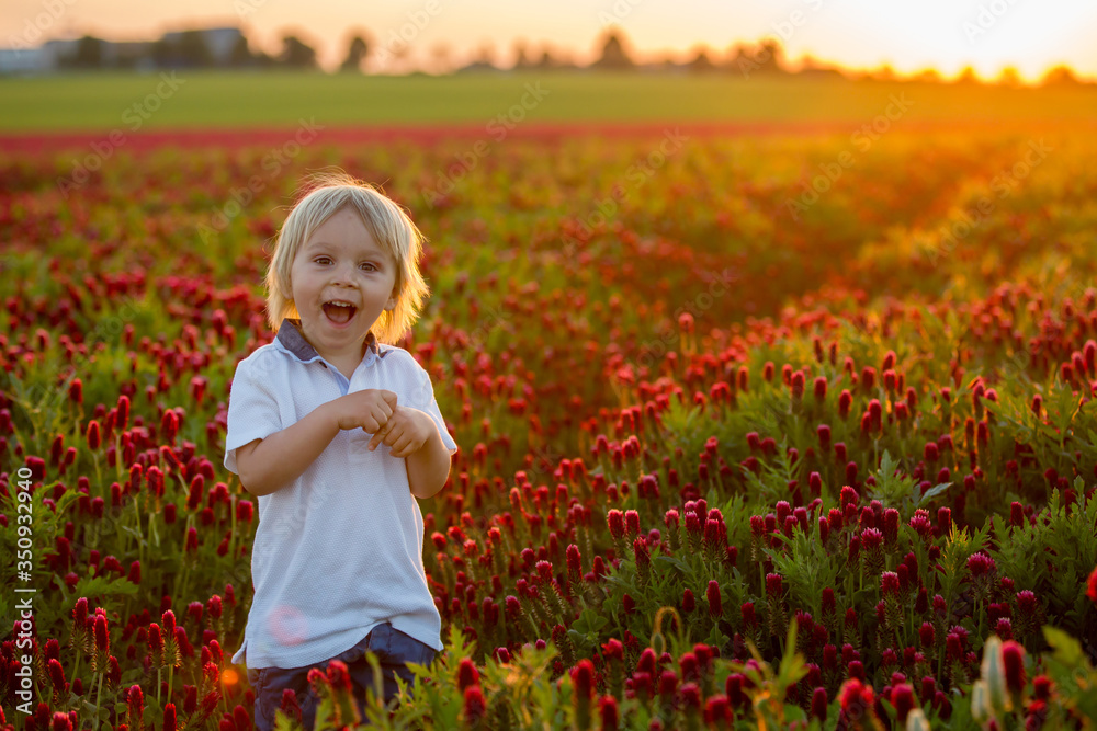 Beautiful children, brothers in gorgeous crimson clover field on sunset, Beautiful children, brothers in gorgeous crimson clover field on sunset,