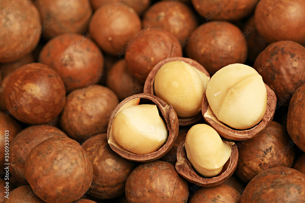 Macadamia nuts slide whole and chopped background Macadamia nuts slide whole and chopped background