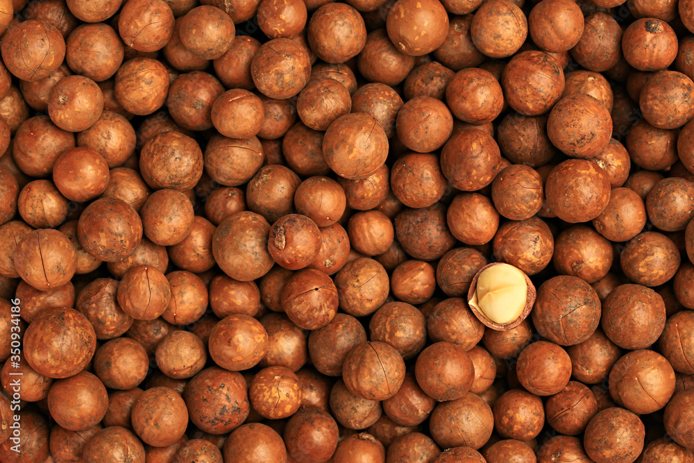 Macadamia nuts slide whole and chopped background Macadamia nuts slide whole and chopped background