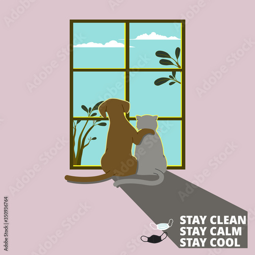 Dog hugging cat by the window looking out to the sky while staying home. Social distancing cheer up concept