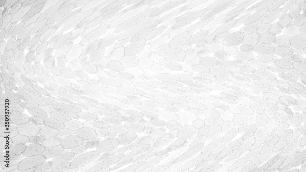 Abstract white grunge cement wall texture background. Abstract white grunge cement wall texture background.