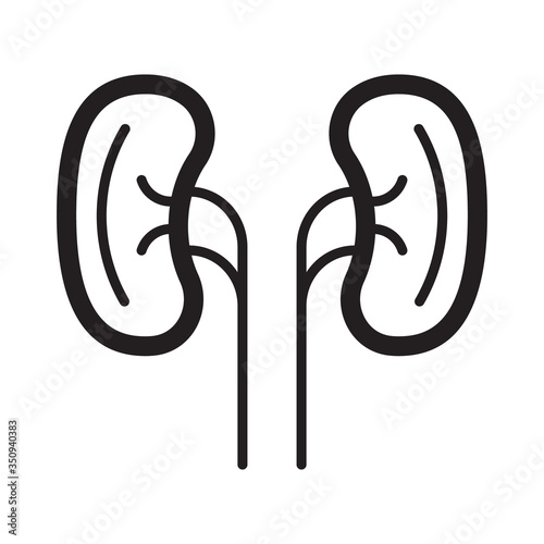 Kidneys icon vector in outline simple style. Sign of pyelonephritis for medical website, app. Kidneys, cystitis symbols are shown. Nephropathy, renal failure, diseases