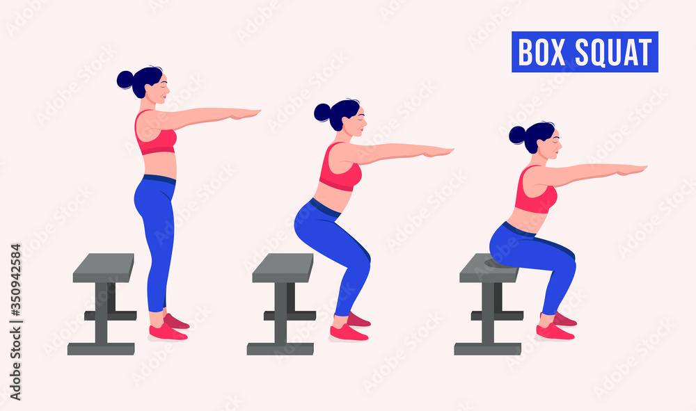 Girl doing Box squat exercise, Woman workout fitness, aerobic and exercises. Vector Illustration.