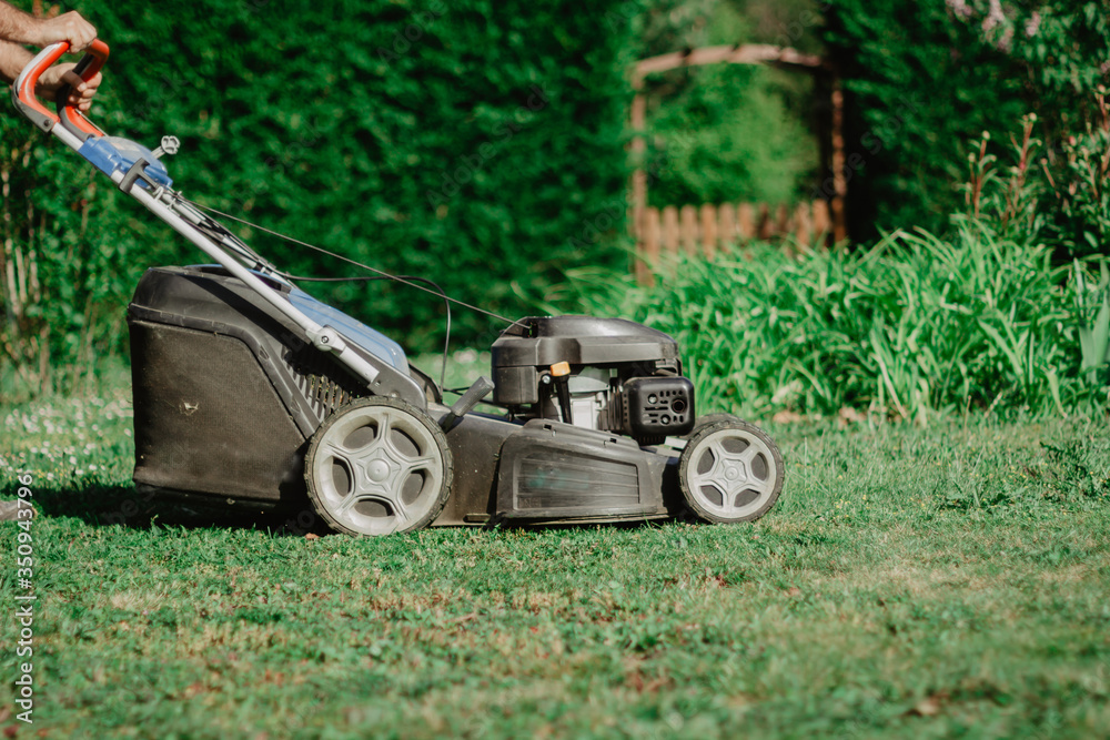 Fototapeta premium mowing the lawn