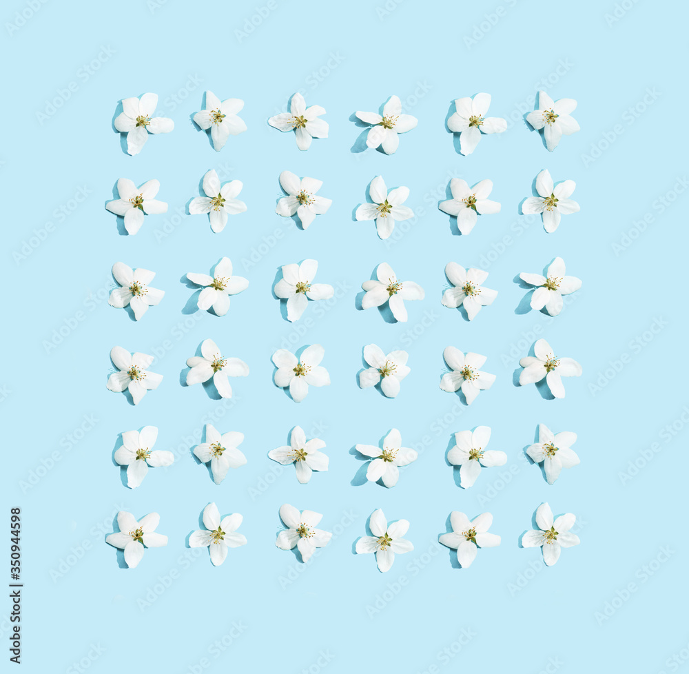 Apple tree floral pattern. Bright summer background. Spring white fruit flowers. Repeat spring texture. Creative trend composition. Many springtime elements. Blank may layout. Blue Apple tree floral pattern. Bright summer background. Spring white fruit flowers. Repeat spring texture. Creative trend composition. Many springtime elements. Blank may layout. Blue