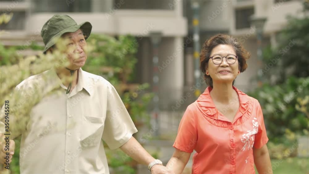 Grandfather and Grandma in the Park 
