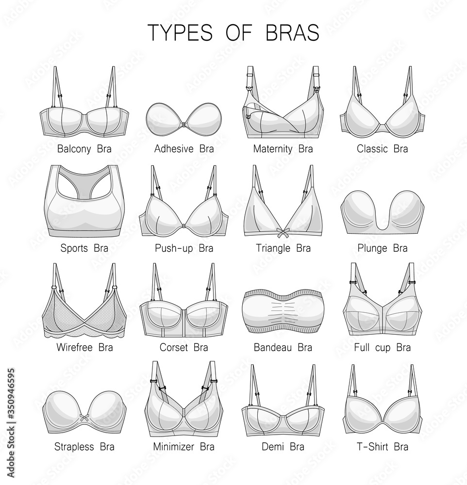 Women's underwear. Types of bras. Set of white bras. Stock Vector