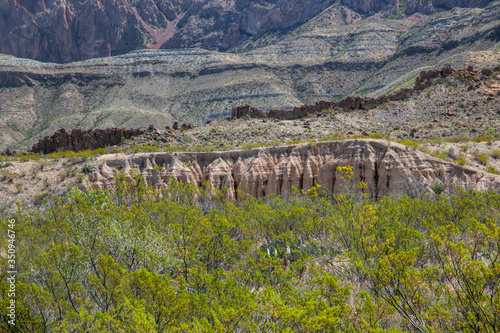 Desert Landscape from Big Bend National Park