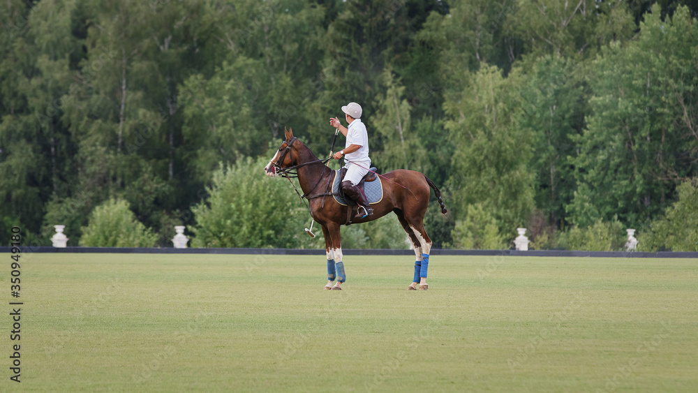 A horse Polo player stands in the middle of the field before the game starts A horse Polo player stands in the middle of the field before the game starts