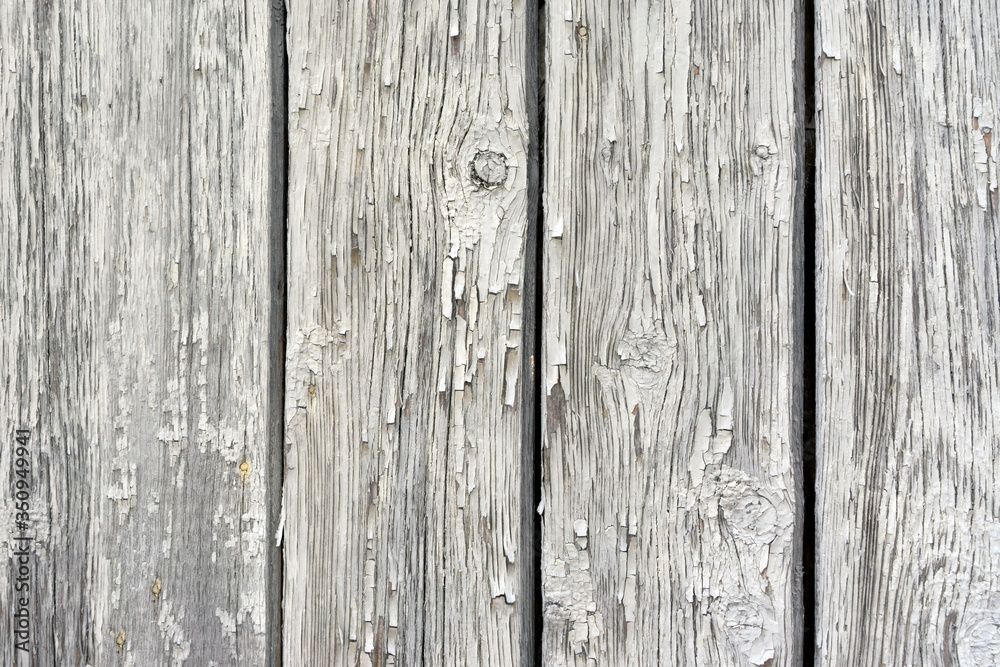 texture of light wooden planks . natural wooden background texture of light wooden planks . natural wooden background