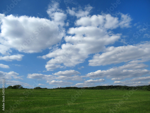 green field and blue sky © Carmela