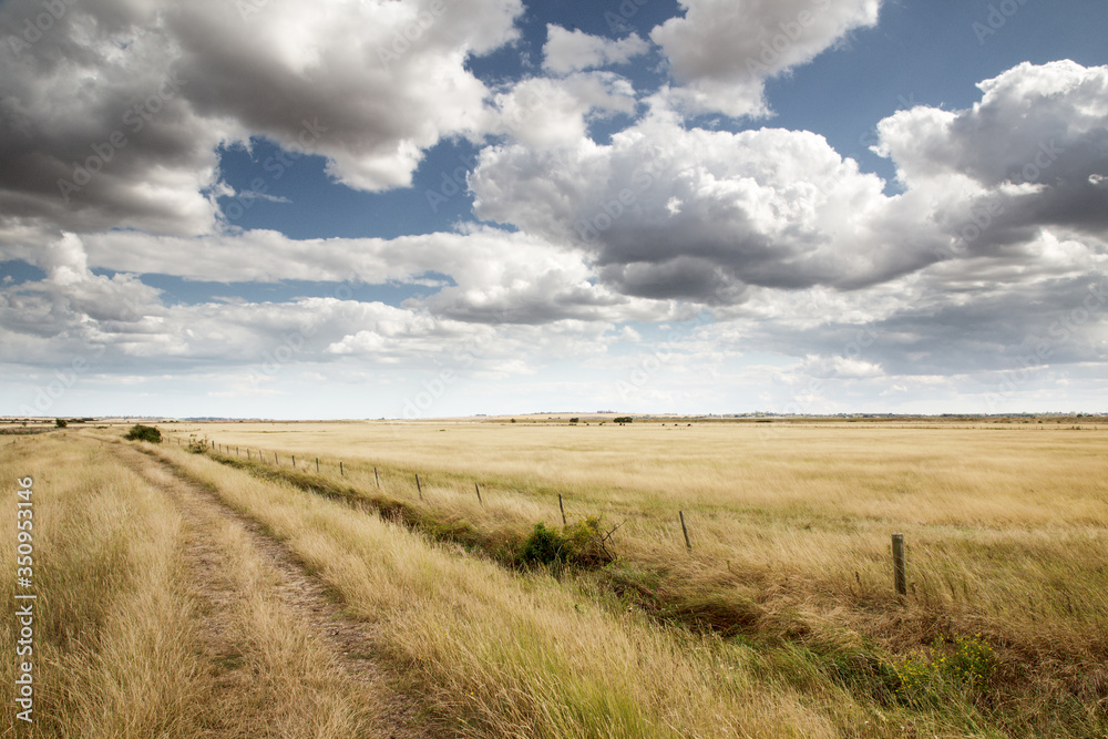 beautiful farmland in essex england beautiful farmland in essex england