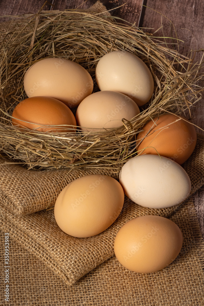 Close-up of beige chicken eggs nest made of straw and jute fabric. Close-up of beige chicken eggs nest made of straw and jute fabric.