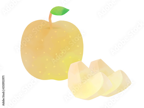 梨の水彩イラスト
