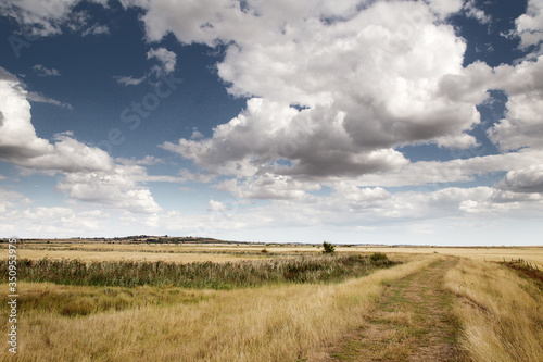 Fotografie, Obraz beautiful farmland in essex england